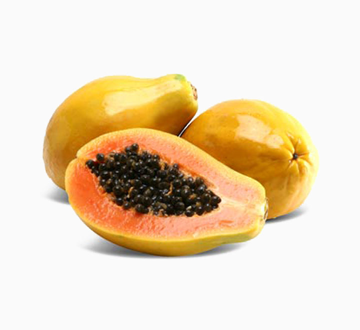 Carica papaya or Papaya Tree (1.2m - 2.0m) شجرة البابايا