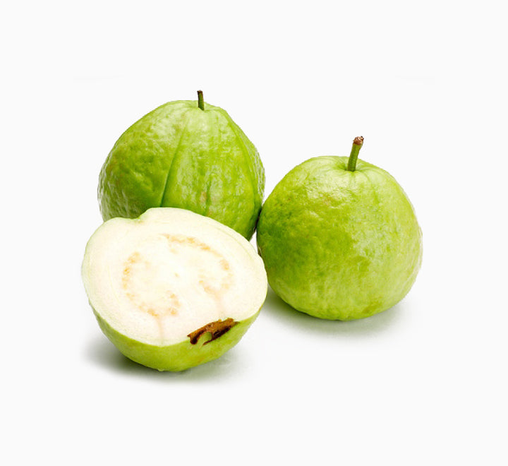 Psidium guajava Or Guava Tree 1.2 - 2.0m شجرة الجوافة (Pakistani)