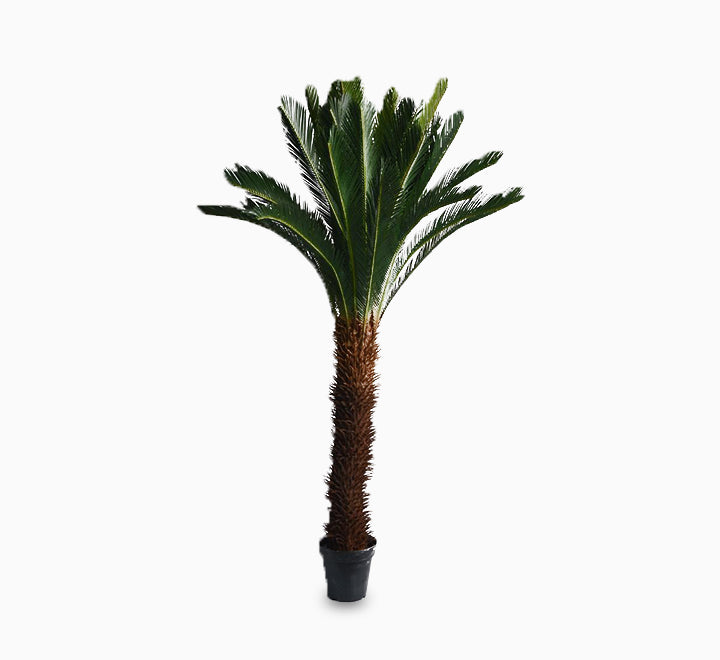 Artificial Cycas (2 m)