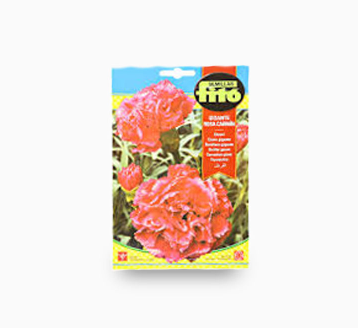 Carnation Giant Carmine 800 mg - Fito
