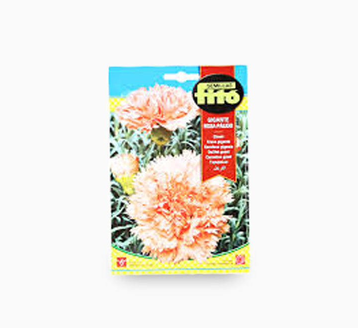 Carnation Giant Pink 800mg - Fito