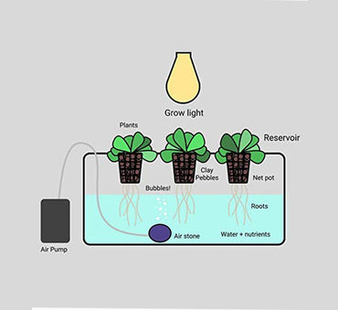 GROWFAST HYDRO STONE