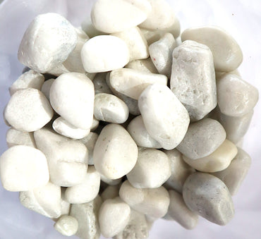 White Colour Decorative Painted Pebbles "Aquarium" 10-15mm