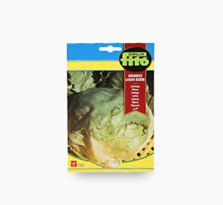 Lettuce Great Lakes Sebre 6g - Fito