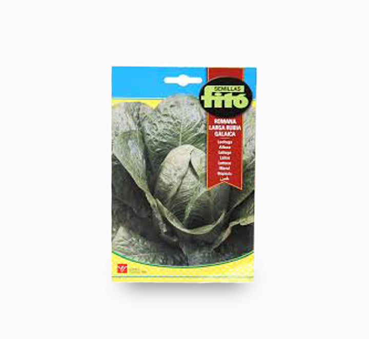 Lettuce Romana Larga Rubia Galacia 8g - Fito