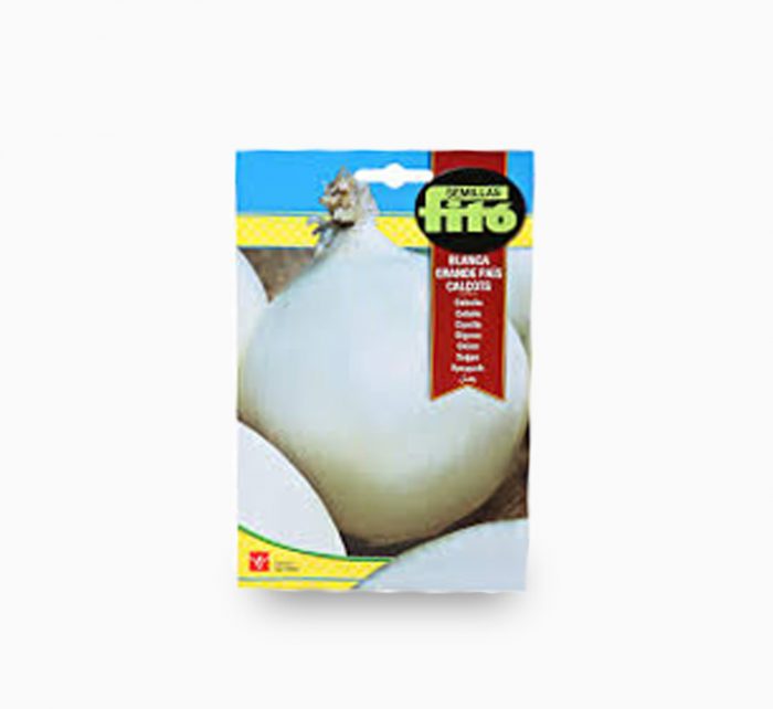 Onion Blanca Grande Pais Calcots 7g - Fito