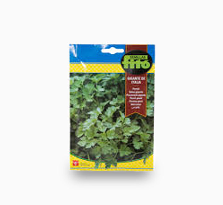 Parsley Gigante Italia Seeds 20g - Fito