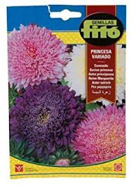 Mixed Aster Ostrich - Fito Seeds (2g)