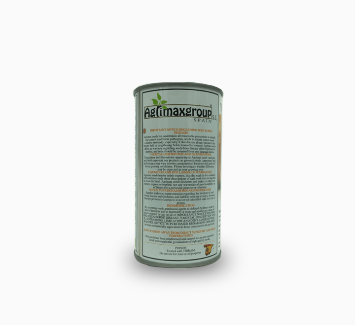 Yellow Onion Seeds Tin