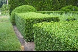 Garden maintenance