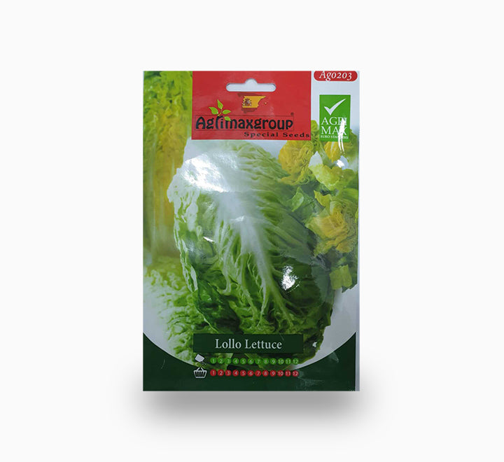 Alfalfa Desert master 1kg Premium Quality Seeds