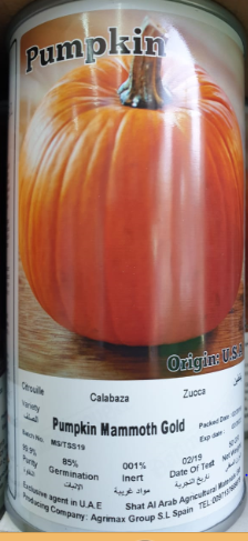 Pumpkin Mammoth Gold Seeds Tin