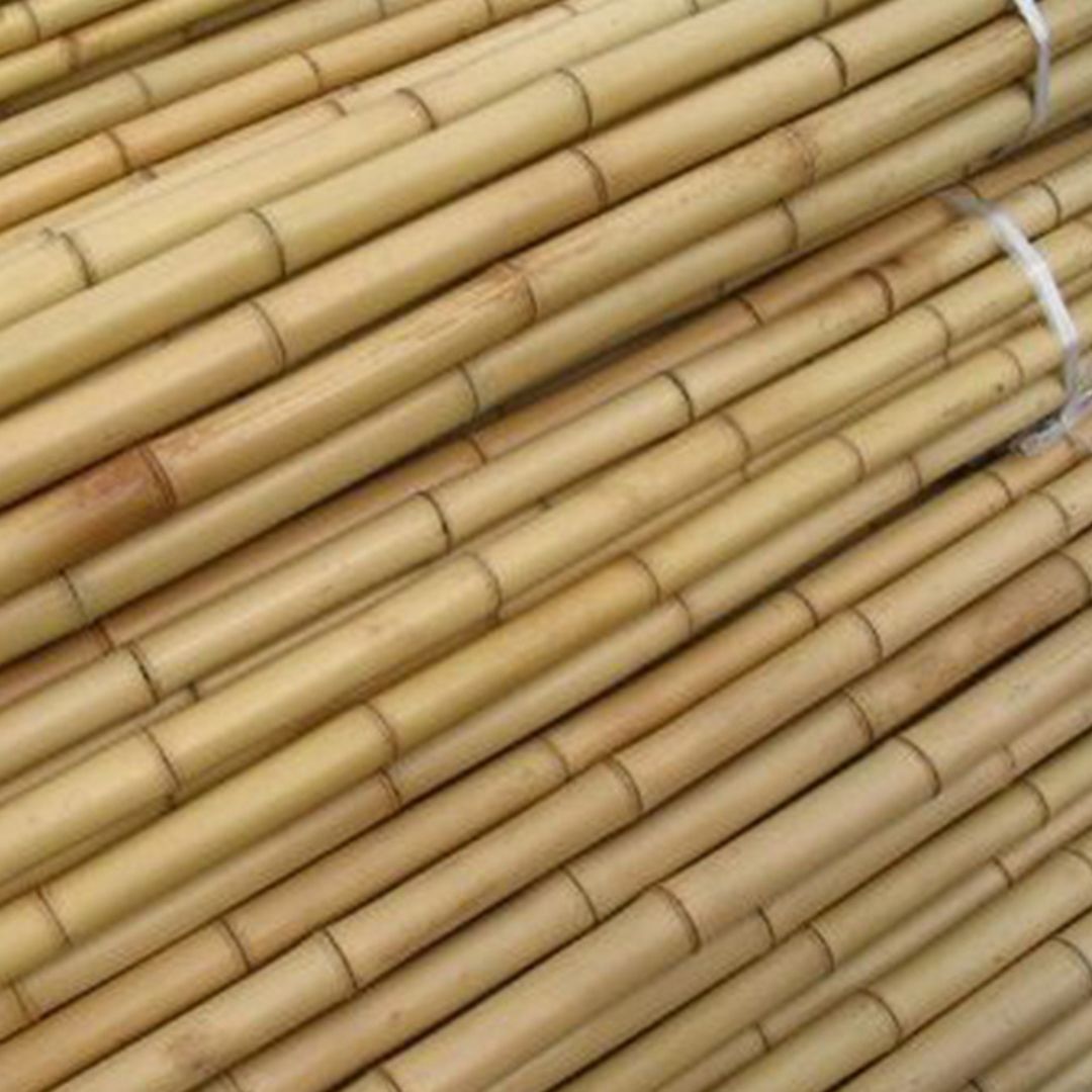 Bamboo Stick “Per Piece” 15-30mm Dia