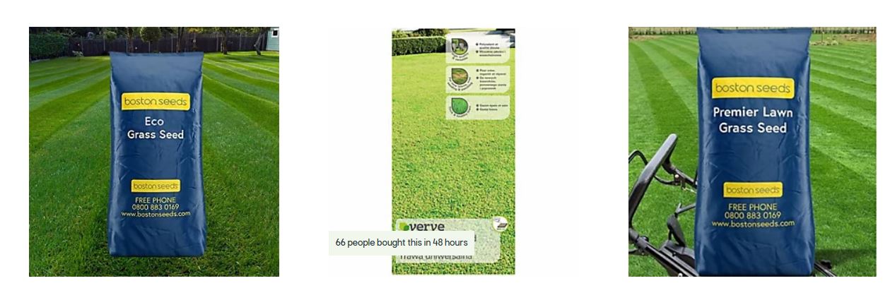 Why B&Q Grass Seed Is Becoming the Secret Weapon for Celebrity Gardens