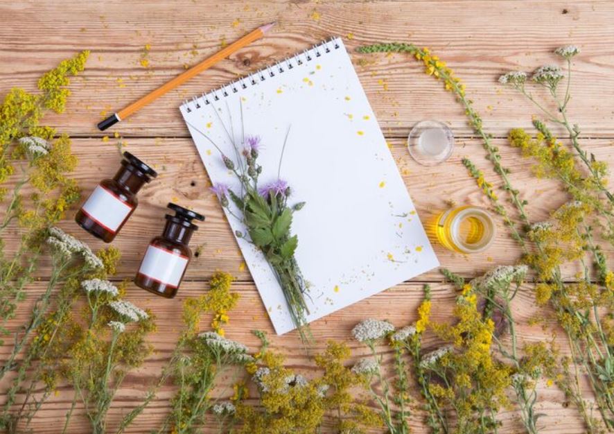 Bach Flower Remedies List—The Surprisingly Effective Guide to Emotional Healing