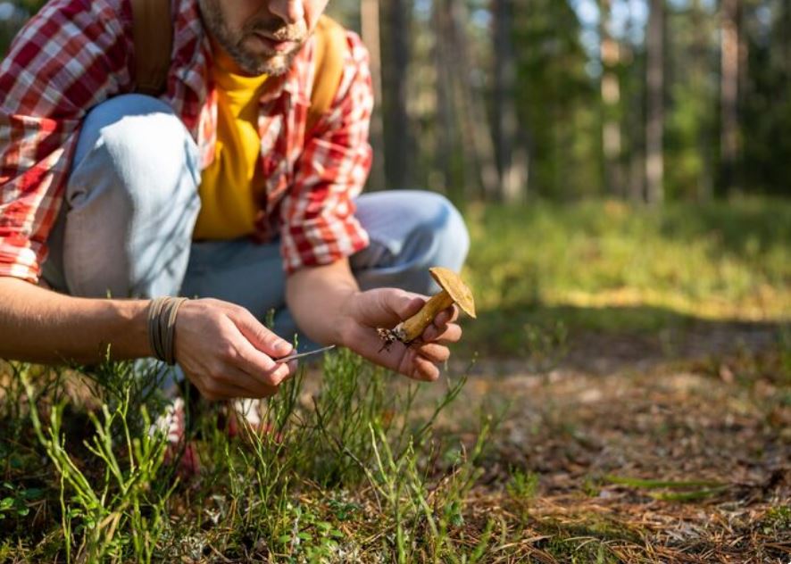 Why September Could Be the Perfect Month to Sow Grass Seed