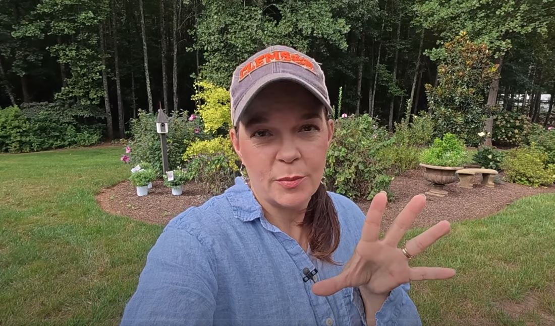 Why Gardening With Creekside Is Inspiring Thousands of Plant Lovers