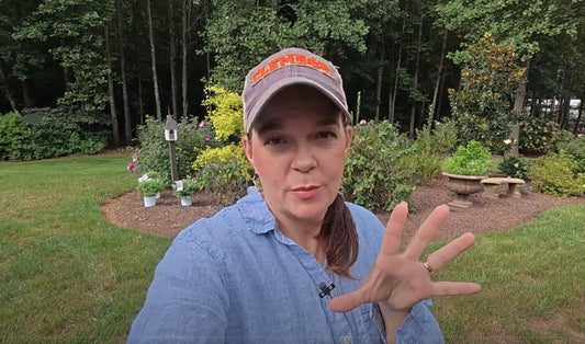 Why Gardening With Creekside Is Inspiring Thousands of Plant Lovers