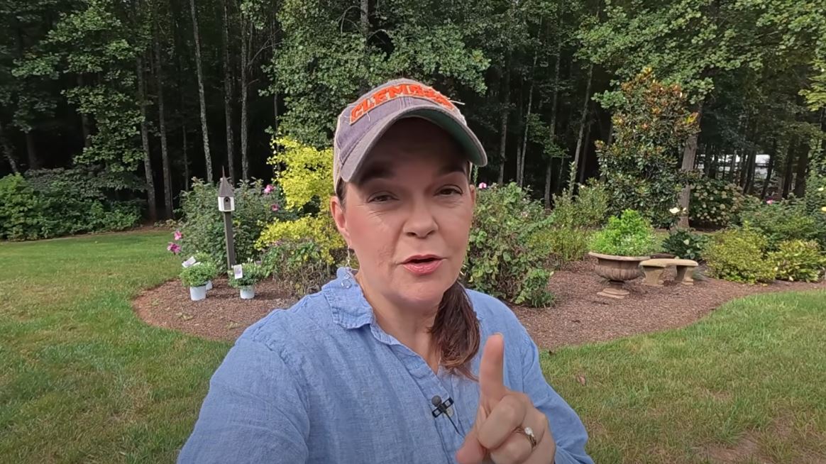 Inside Gardening With Creekside YouTube: The Southern Couple Growing an Online Green Empire