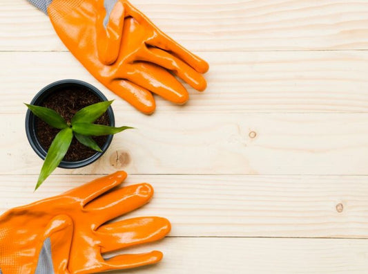 Gold Leaf Gardening Gloves—Why Chelsea Flower Show Regulars Swear by Them