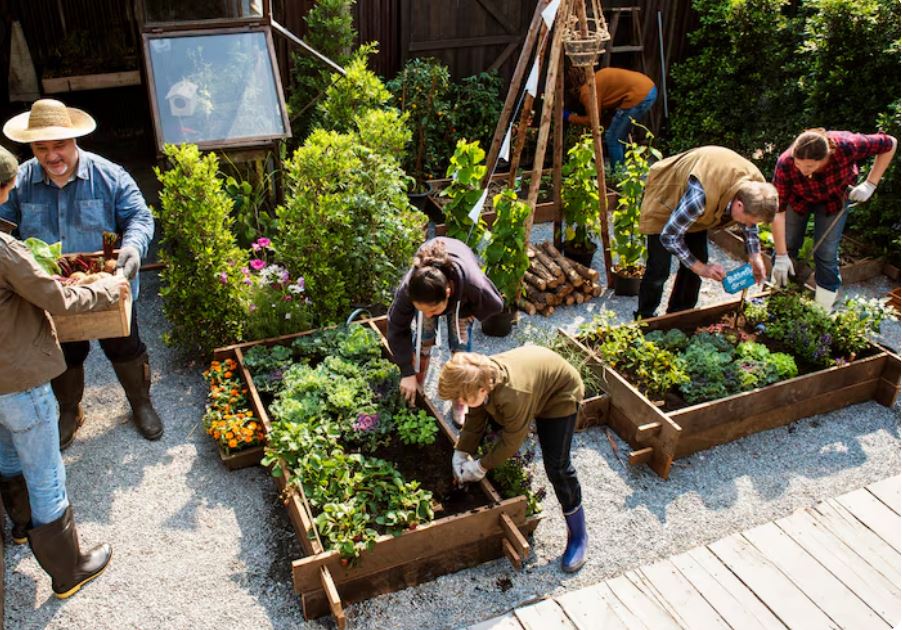 How Market Gardening AP Human Geography Has Notably Improved Urban Food Security