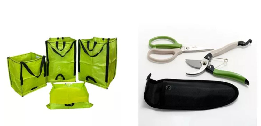How QVC Gardening Products Are Transforming Urban Spaces