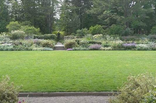 Rockefeller Sculpture Garden, How Abby Rockefeller Changed Culture Forever