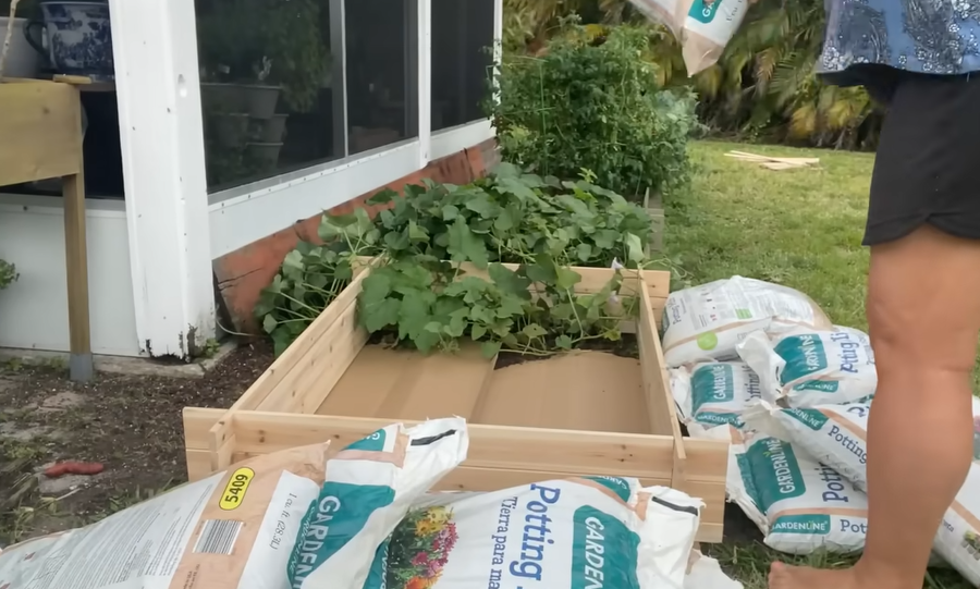 This Week’s Aldi Garden Deals Are Too Good to Miss—From £3.99!