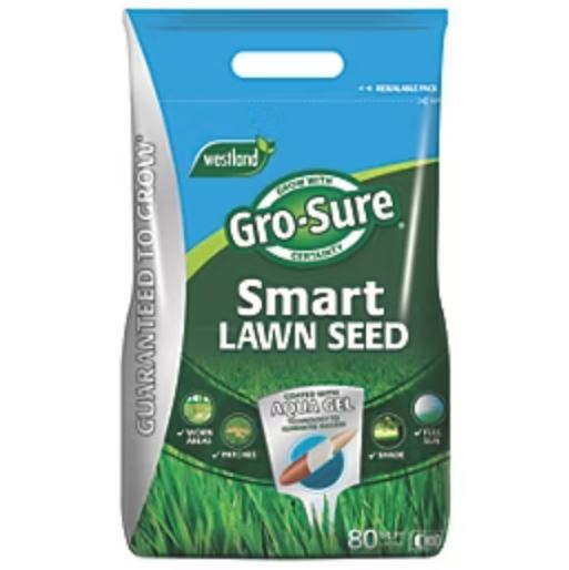 Why Screwfix Grass Seed Is Becoming the “Red Carpet” Choice for Gardens
