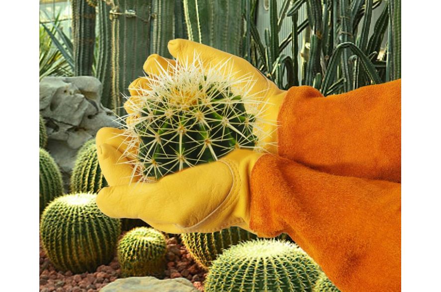 These Thorn Proof Gardening Gloves Saved My Hands – Here's Why You Need Them