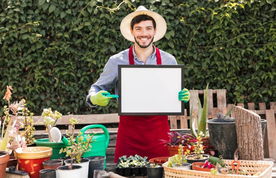 Wowcher Mystery Garden Deal, TikTok’s New Obsession With Surprise Shopping