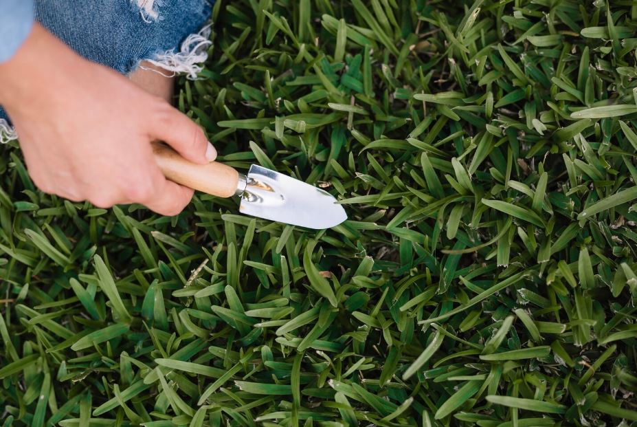 How Soil Temperature Decides the Best Time to Put Grass Seed Down