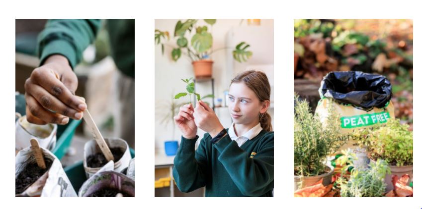 Why RHS School Gardening Awards Are Cultivating the Next Generation of Eco Leaders