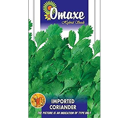 Coriander Imported Hybrid Seeds by Omaxe