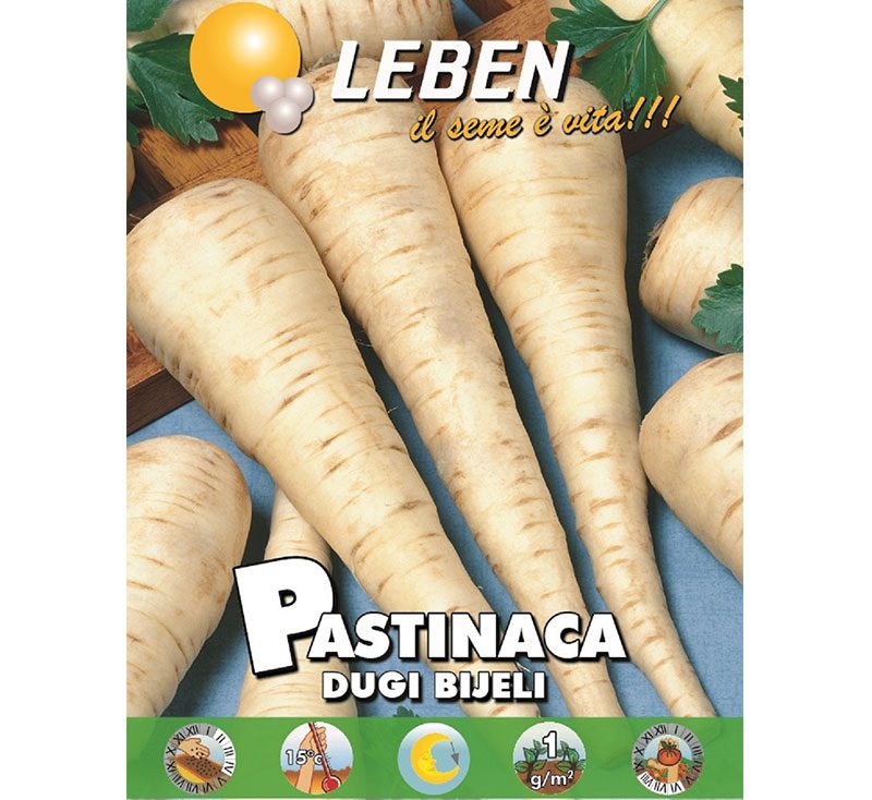 Parsnip Vegetable Seeds "Pastinaca Dugi Bijeli" by Leben