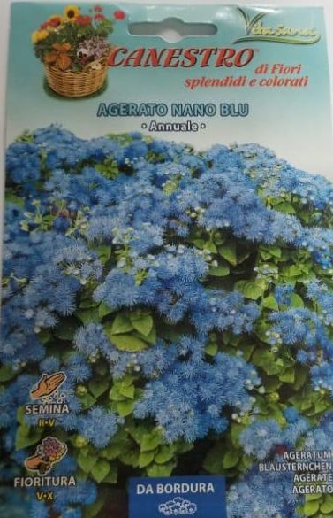 Agerato Nano Blu Seed by CANESTRO