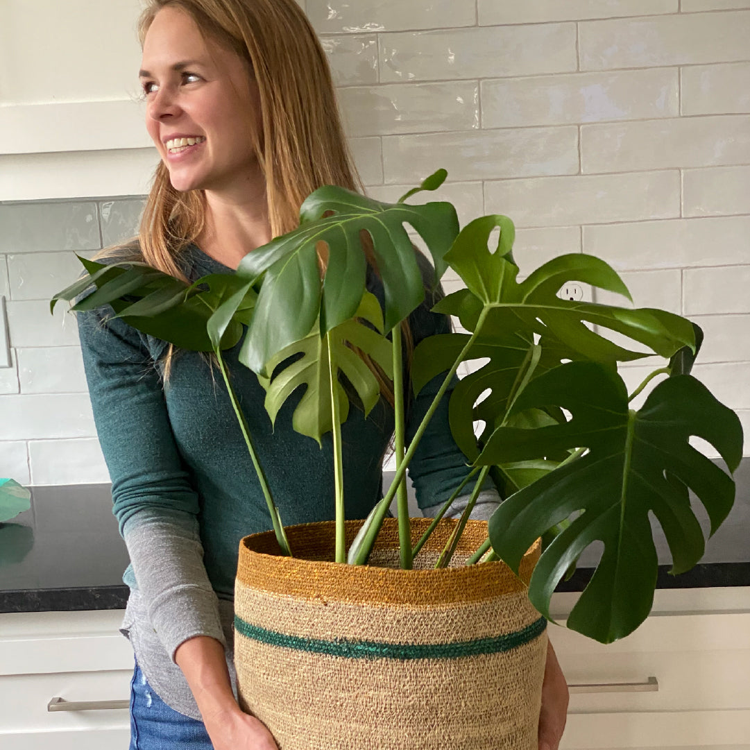 Woman holding a large potted plant in a kitchen