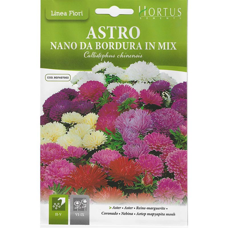 Aster Mix "Astro Nano Da Bordura In Mix" Premium Quality Seeds by Hortus Sementi