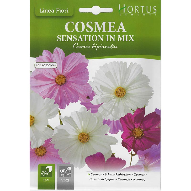 Cosmos Mix "Cosmea Sensation In Mix" Premium Quality Seeds by Hortus