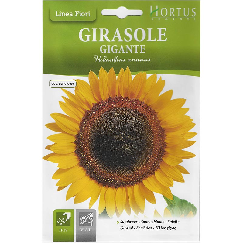 Sunflower "Girasole Gigante" Premium Quality Seeds by Hortus