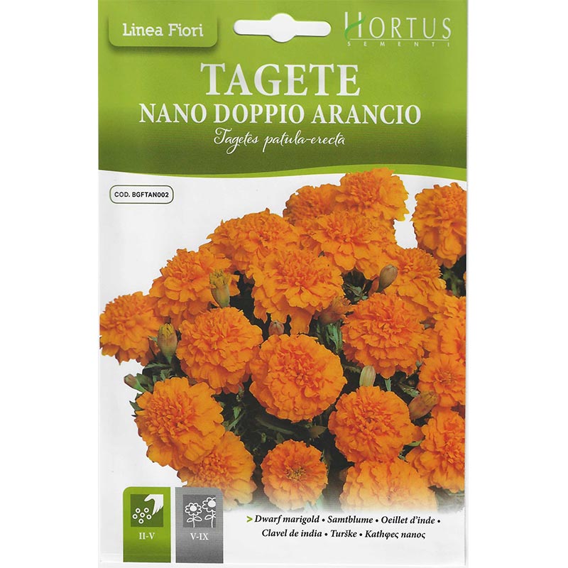 Dwarf Marigold "Tagete Nano Doppio Arancio" Premium Quality Seeds by Hortus