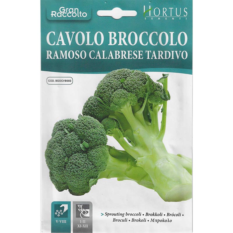 Broccoli "Cavolo Broccolo Ramoso Calabrese Tardivo" Seeds by Hortus