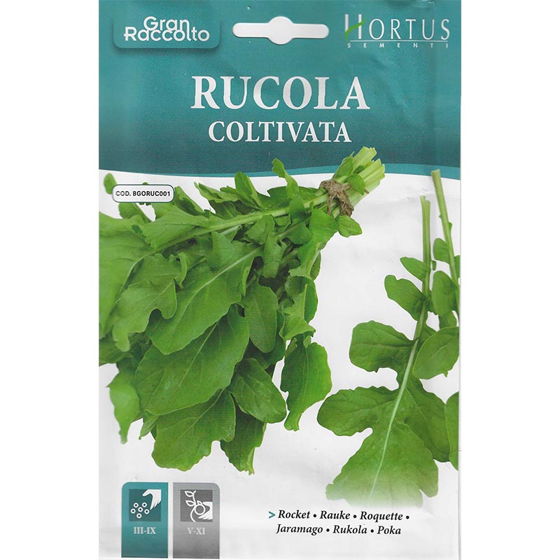 Rocket "Rucola Coltivata" Seeds by Hortus