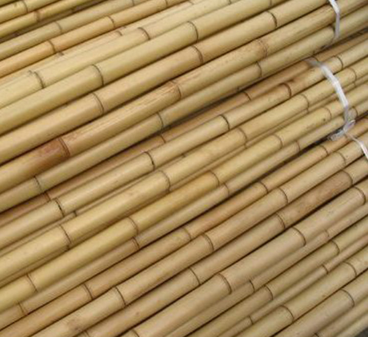 Bamboo Stick "Per Piece" 15-30mm Dia "Ideal for Plant Support"
