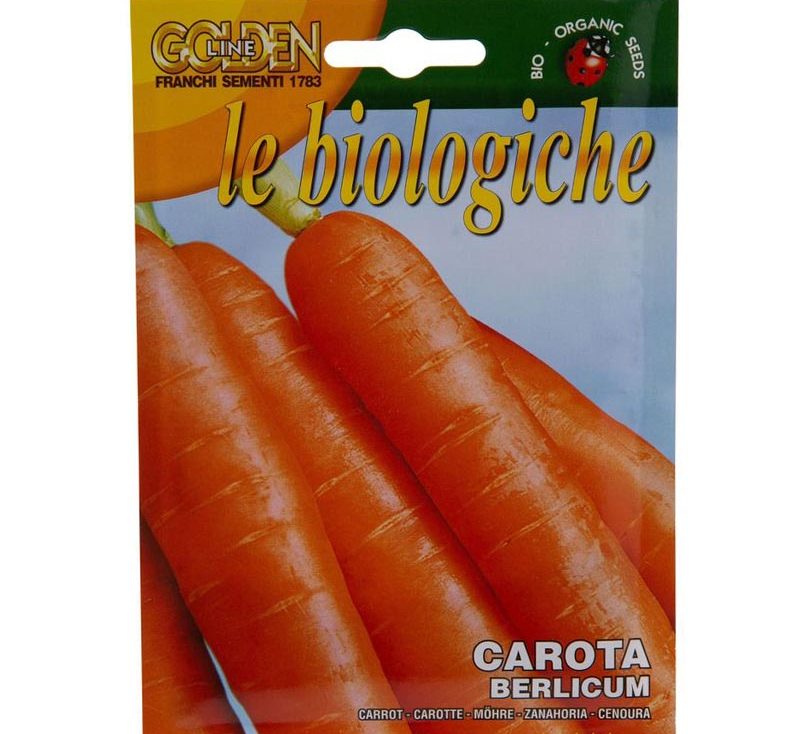 Carrot "Carota Berlicum" Organic Seeds