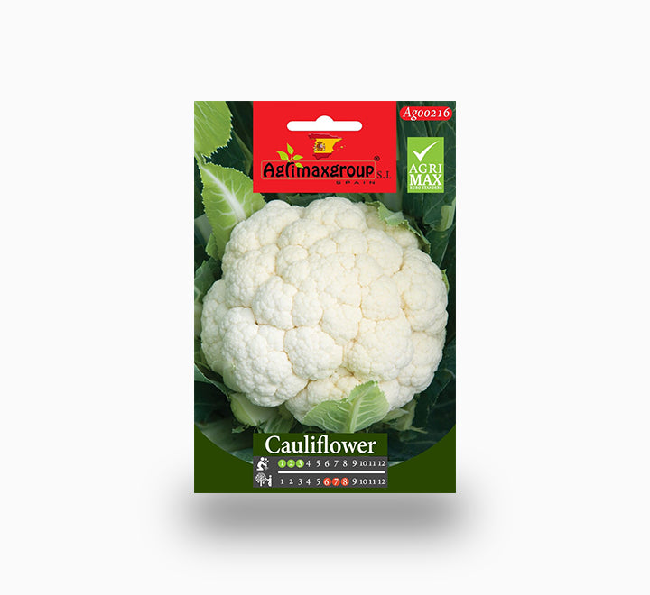 Cauliflower seeds agrimax
