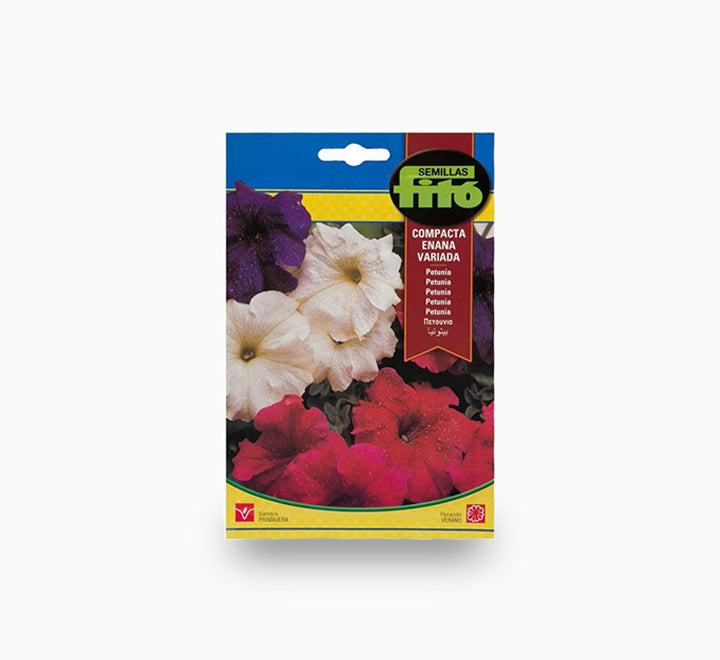 Dwarf Petunia Compact Mix Flower - Fito Seeds