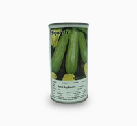 Gray Squash Zucchini Seeds Tin