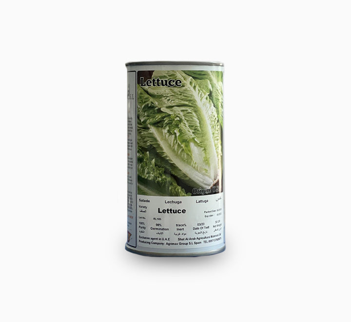 Lettuce Seeds Tin