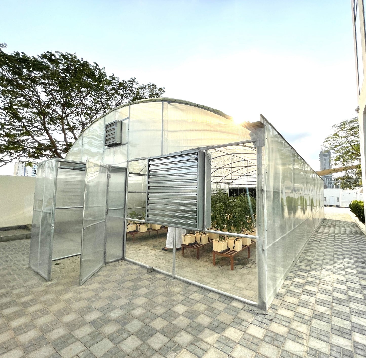 GreenHouse Construction for Organic or Hydroponic Crops
